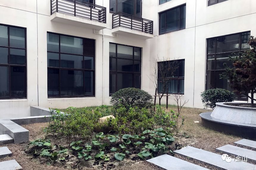 金山即将启用的大学,金山计划新建学校