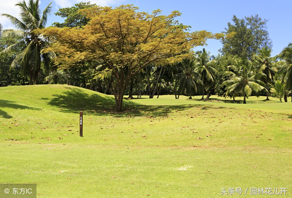 年轻人创业项目排行榜前十名,适合年轻人创业项目小本