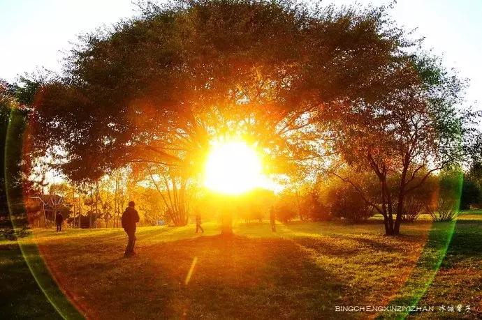 国庆伏尔加庄园,哈尔滨伏尔加庄园三日游