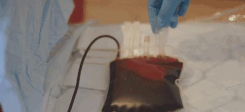 很血腥猎奇的三部纪录片,比较血腥的纪录片