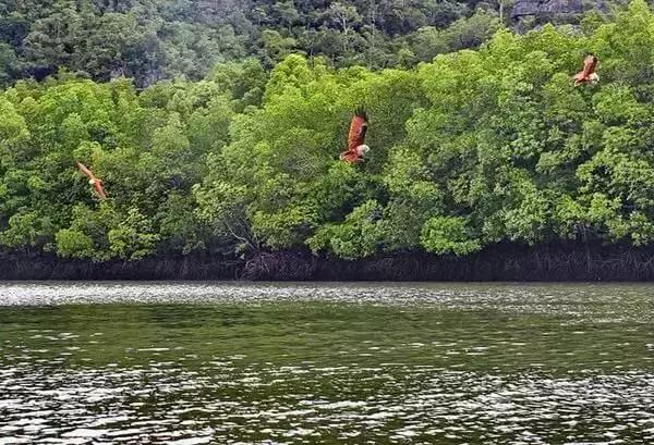 马来西亚兰卡威旅游攻略,马来西亚兰卡威详细攻略