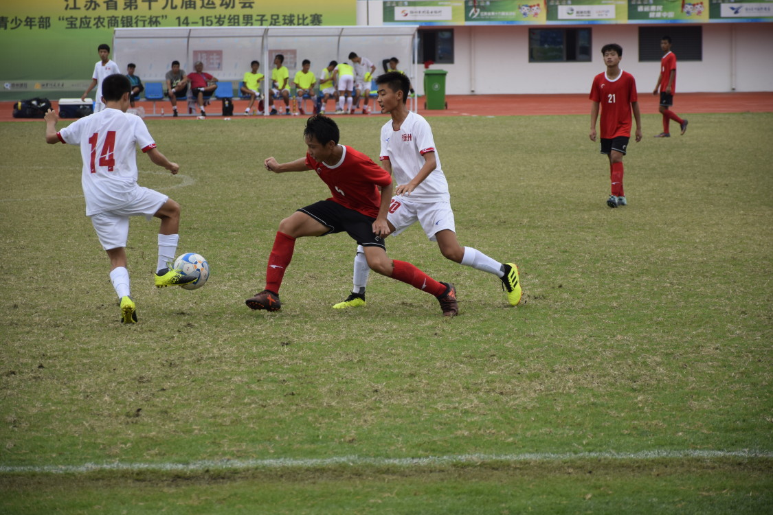 宝应获奖,宝应运动会开幕式