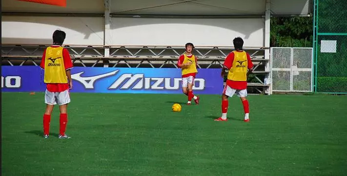 崇明旅游小镇,印象崇明岛