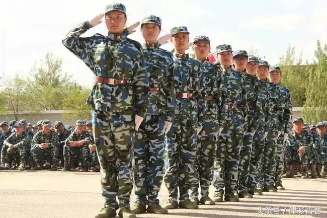 要不要军训,哪个专家呼吁取消军训