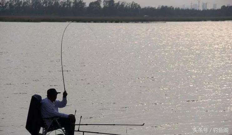 如何挑选一款好鱼竿,怎么挑选一款合适的鱼竿