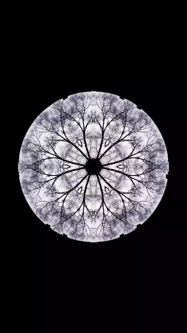 iphone壁纸斗罗大陆壁纸,壁纸控