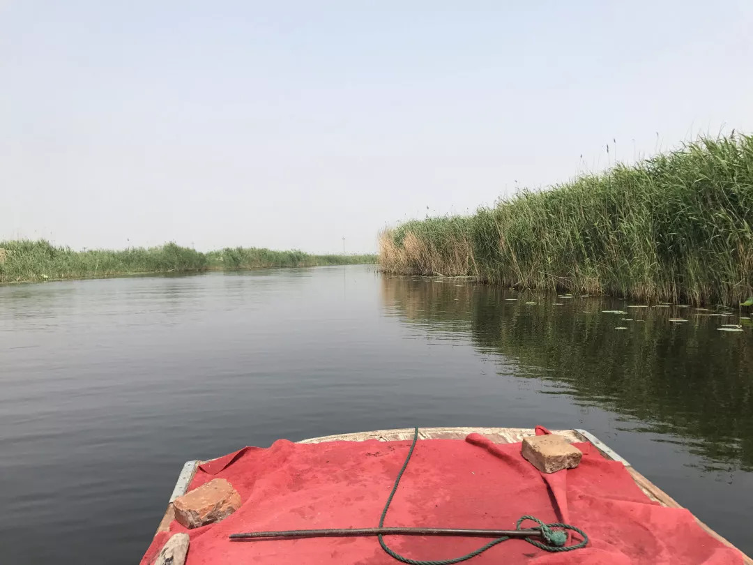 下站该往哪里去,下站了该去哪