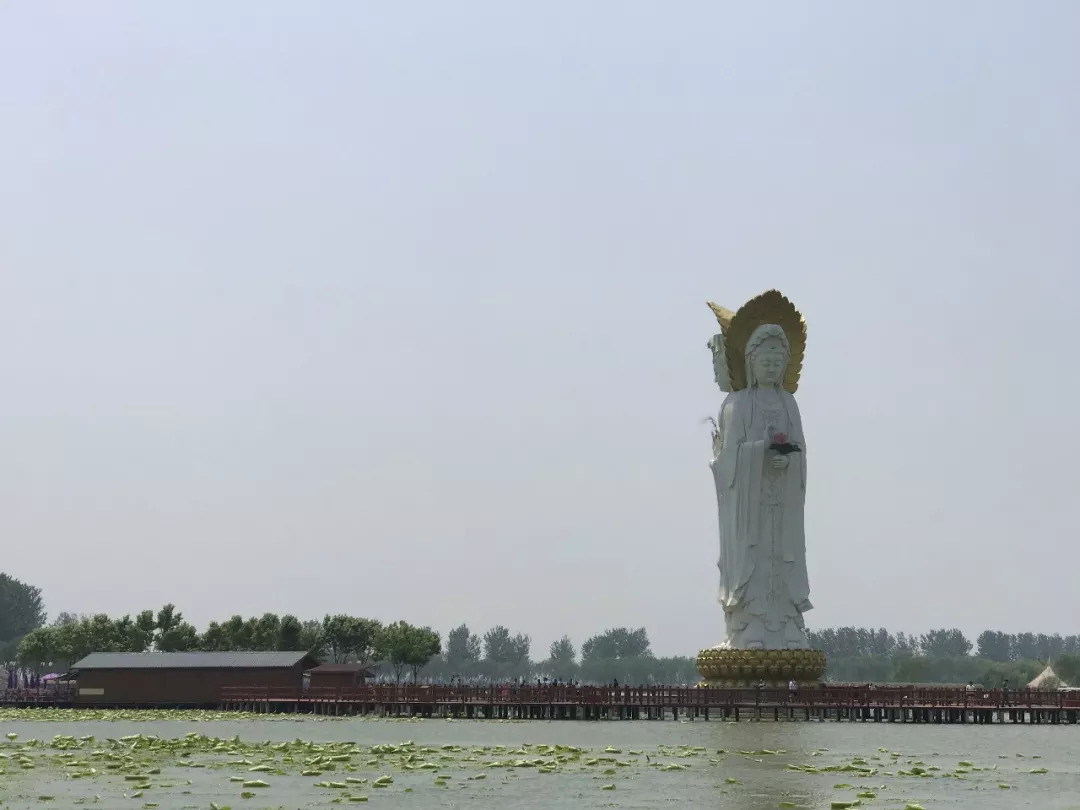 下站该往哪里去,下站了该去哪