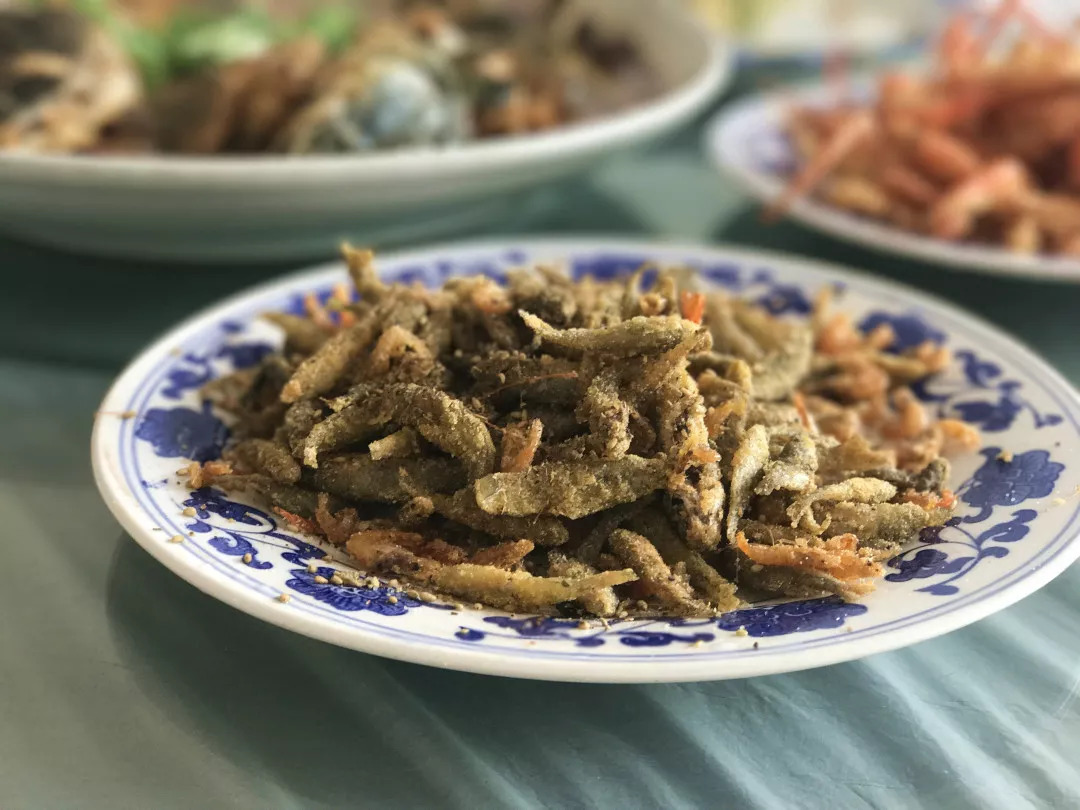 下站该往哪里去,下站了该去哪