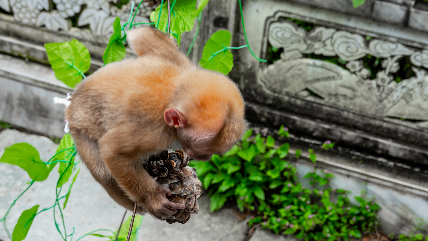 玩转云南大理攻略图片大全,大理玩转一周洱海攻略