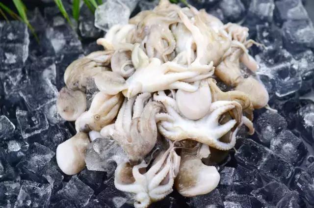 汕头人一般在哪吃海鲜,汕头人喜欢吃的海鲜