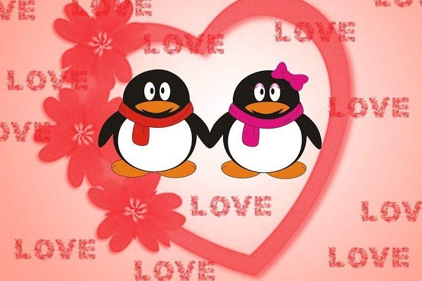 qq宠物停止运营如何登录,qq宠物重新运营