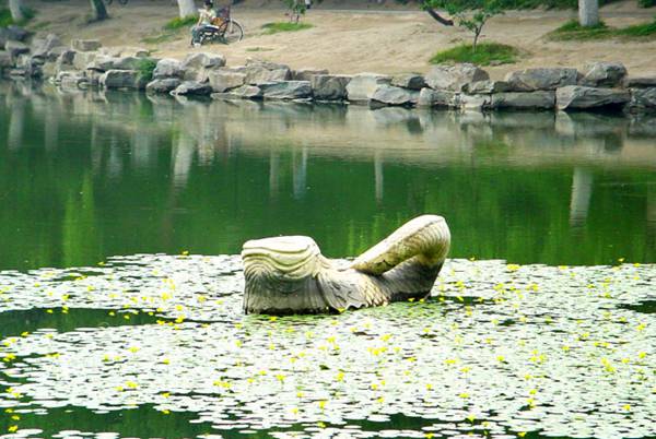 美丽中国北京大学版,美丽中国北京四合院