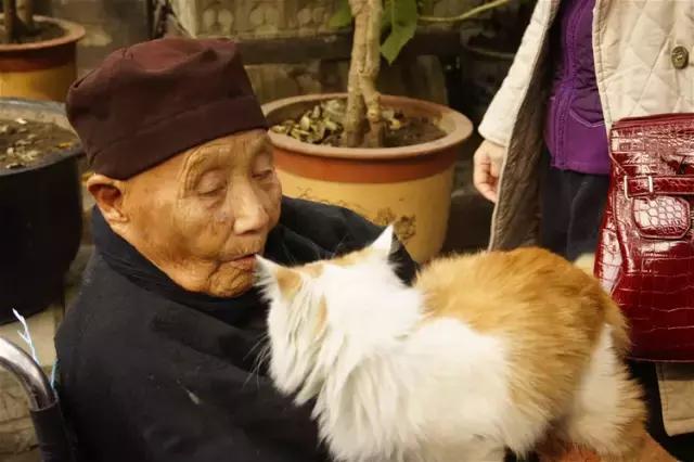 人们为什么瞧不起土猫?「科瑞卡科普」