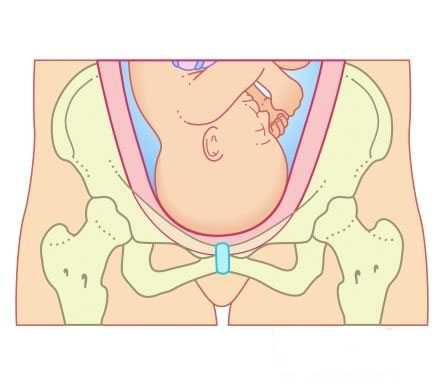 怎样的宫缩算是有规律,怎样的宫缩才是真正的分娩前信号