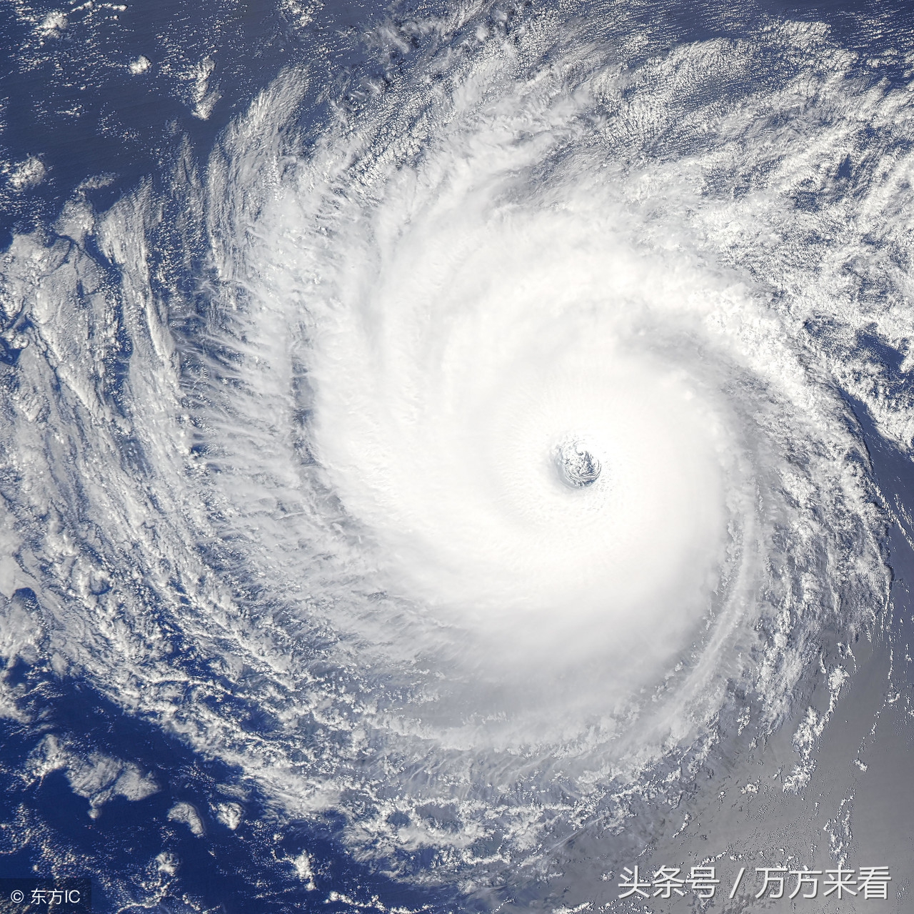 蝴蝶翅膀带来的台风,一只蝴蝶翅膀颤抖会引来一场台风