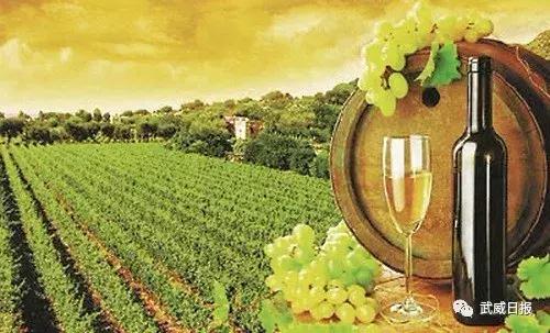 曾获1913年诺贝尔文学奖的获得者,获诺贝尔奖的红酒