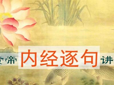 黄帝内经第七篇阴阳别论译文,素问太阴阳明论讲解