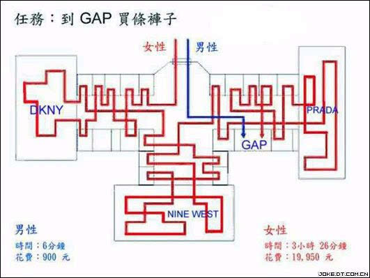 洪兰教授男女大脑思维差异完整版,洪兰教授男女大脑思维差异