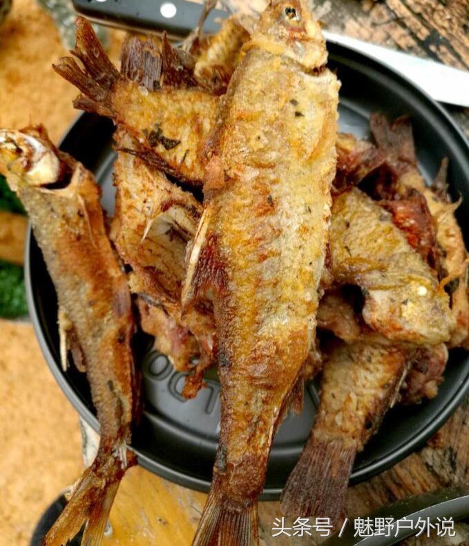 广东河源万绿湖哪里来的,广东省河源万绿湖