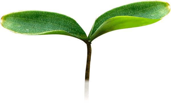 淘宝好吃的蛋黄酥推荐,测评淘宝蛋黄酥20块钱30个