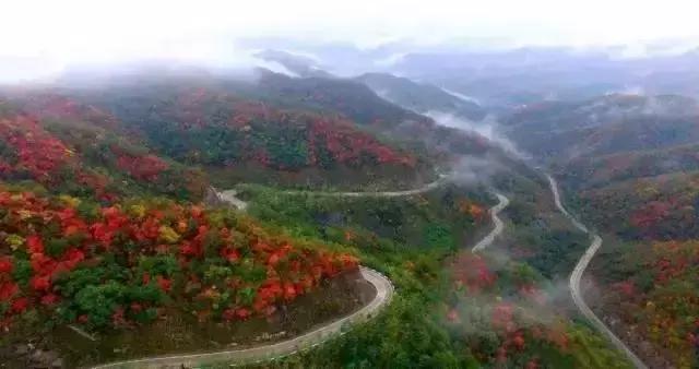 河南十大最美公路自驾游,河南自驾最漂亮的风景