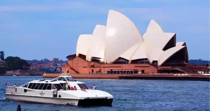 西拉澳洲葡萄,西拉澳洲红葡萄酒