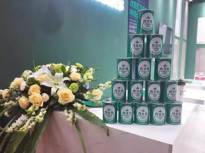 特地负离子瓷砖卖点,王者瓷砖和特地负离子瓷砖哪个好