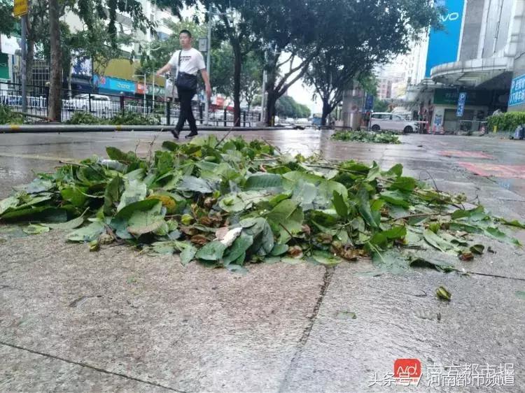 “山竹”过后首个工作日：广东人爬树都要去上班！