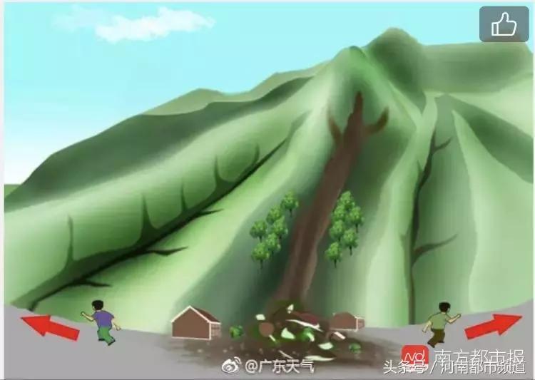 “山竹”过后首个工作日：广东人爬树都要去上班！