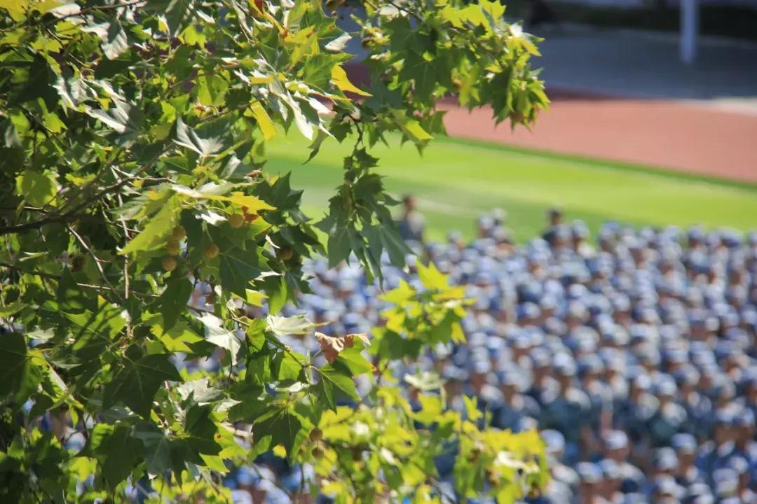 2018中南财经政法大学军训掠影：军训进行时，青春正当时