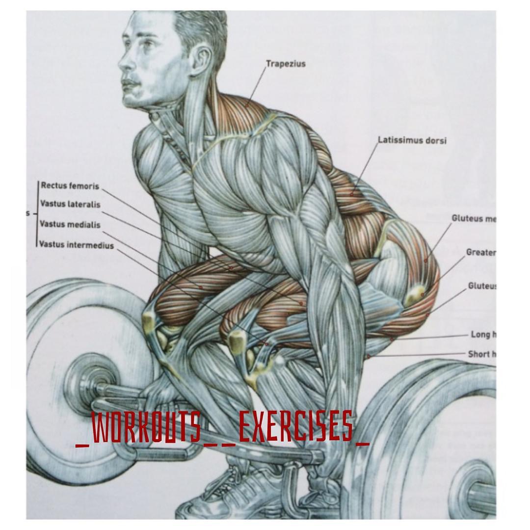 全身力量复合动作,8个动作高效练遍全身