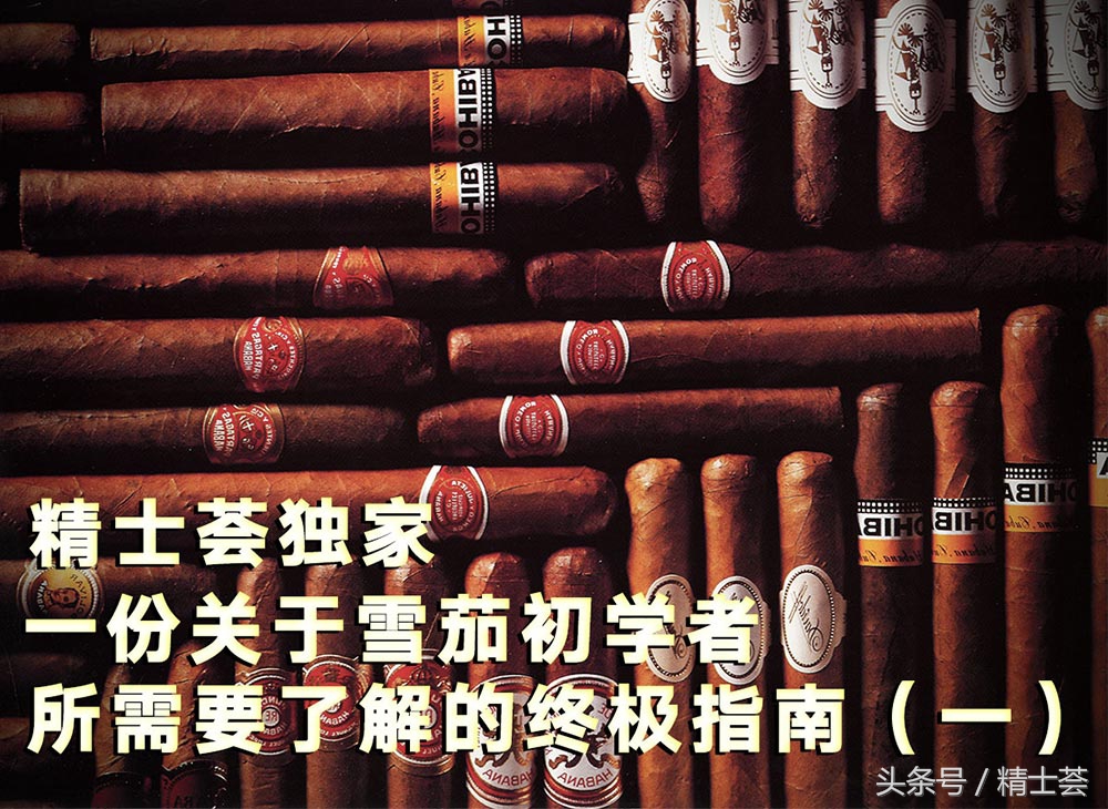 雪茄干货新手入门,雪茄入门从零开始