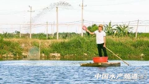 水产养殖中微生物制剂都有哪些,水产微生态制剂使用原则和方法