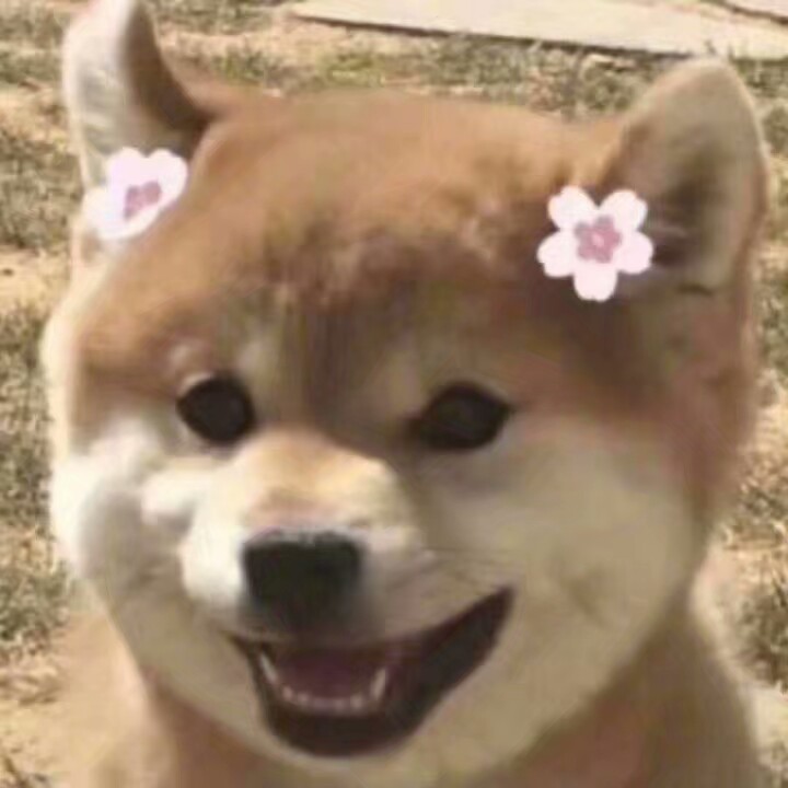 没什么事情是一个段子解决不了,没有什么事是一首诗解决不了的