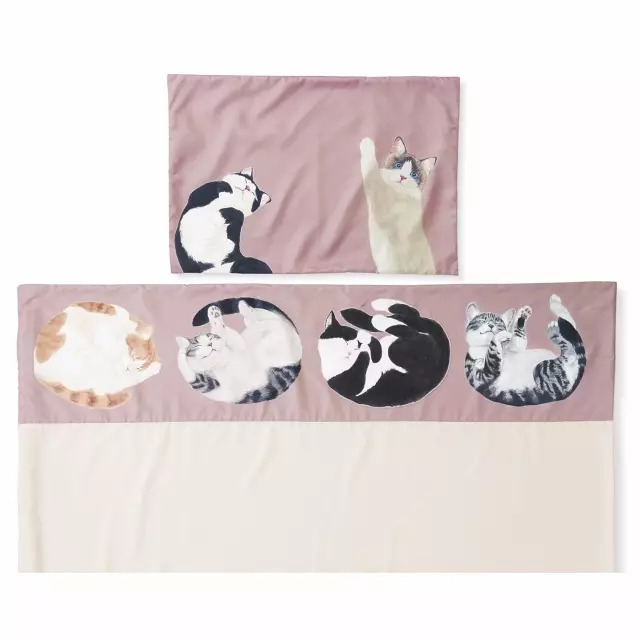 日本人家里东西太多,日本必备10种东西