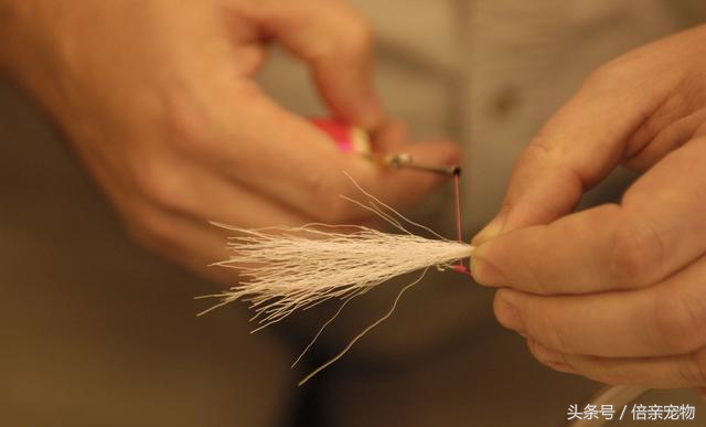 鎬庢牱瀹夊叏鍏荤尗,鎬庢牱鍏荤尗瀹夊叏