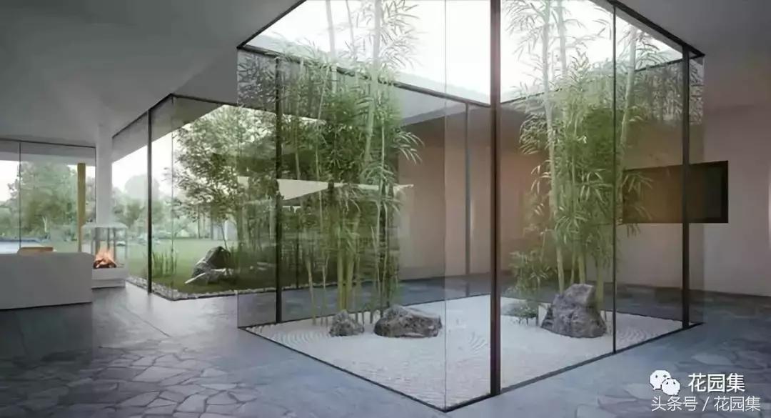 庭院栽什么树风水好,庭院最好的风水布局