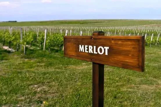 拉图嘉利最好的酒庄,法国三级酒庄拉图嘉利