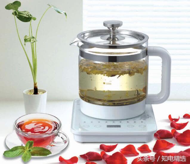 冬日必备养生壶,秋冬养生壶推荐