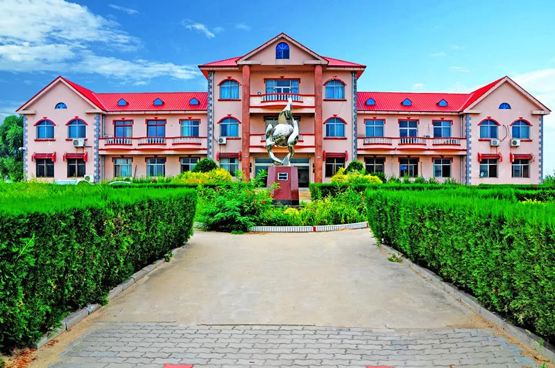 沧州欢乐沧海游,沧州欢乐出游