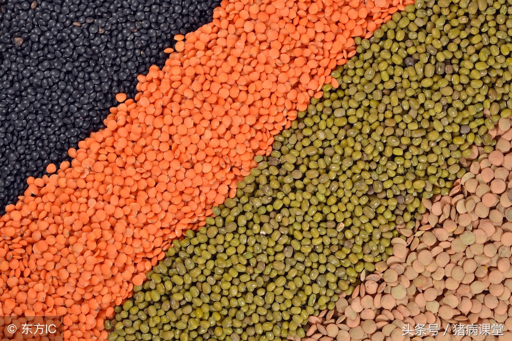 抗生素中毒的症状及表现,抗生素类药物中毒