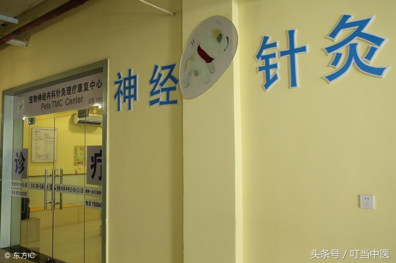 全国医院科室排名2021完整版,上海三甲医院特色科室排名