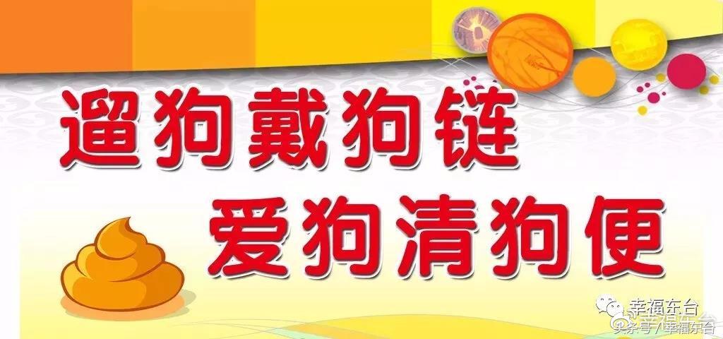 关于养犬致全体市民的一封公开信,通知给养犬居民的一封信请查收