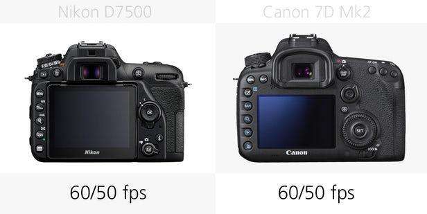 中端单反相机,尼康D7500和佳能7DMarkII谁更强,深度对比解析