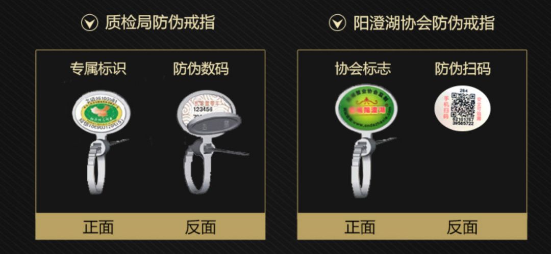 阳澄湖大闸蟹在网上买是活的吗,阳澄湖大闸蟹现在有卖么