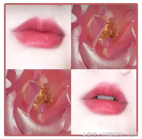 旗舰店买的mac一定是真的吗,二十几的mac真的假的