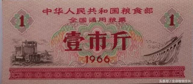 毛*东泽**时代的票证大全，永存于一代人记忆中的难忘岁月！