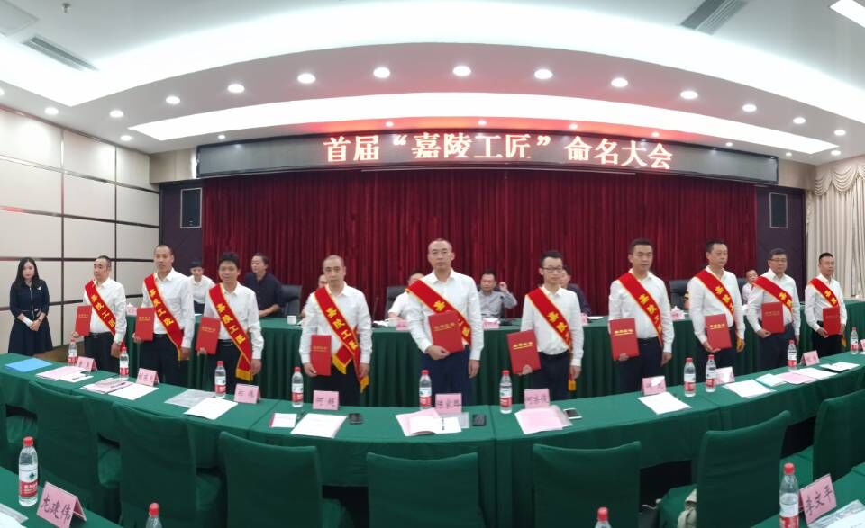 南充嘉陵网红前十名,南充十大著名的人