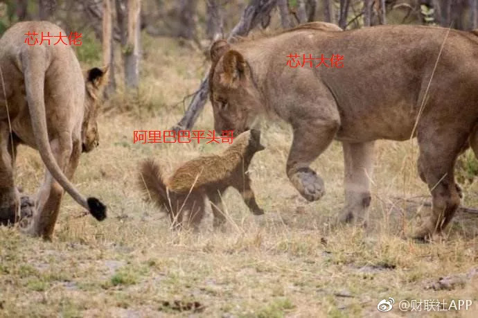 马云宣布退休全部视频,马云退休前放大招